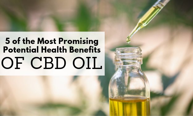 Hemp Oil Tinctures