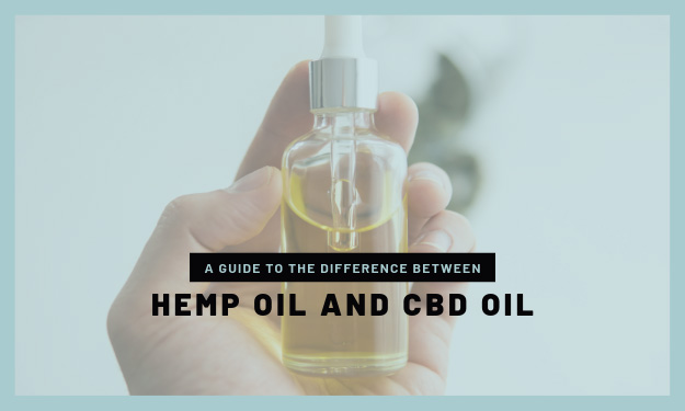 A Guide to The Difference Between Hemp Oil and CBD Oil