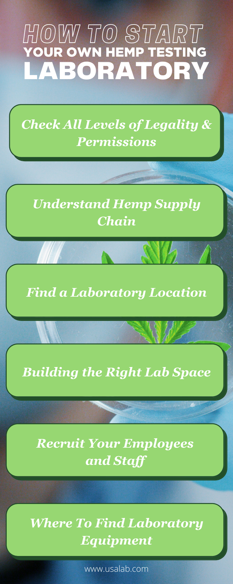 How To Start Your Own Hemp Testing Laboratory